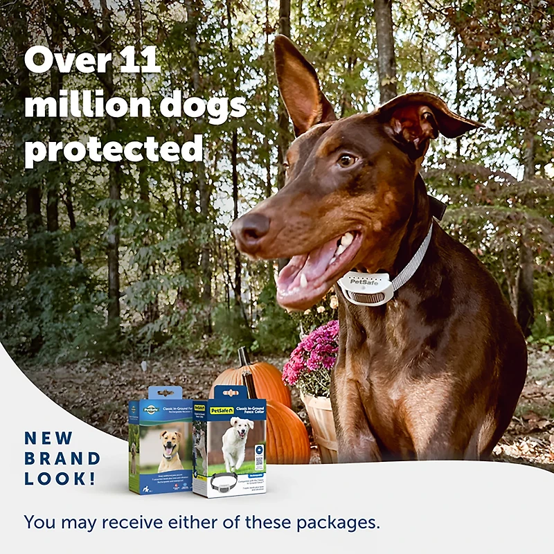 PetSafe Classic In-Ground Dog Fence Receiver