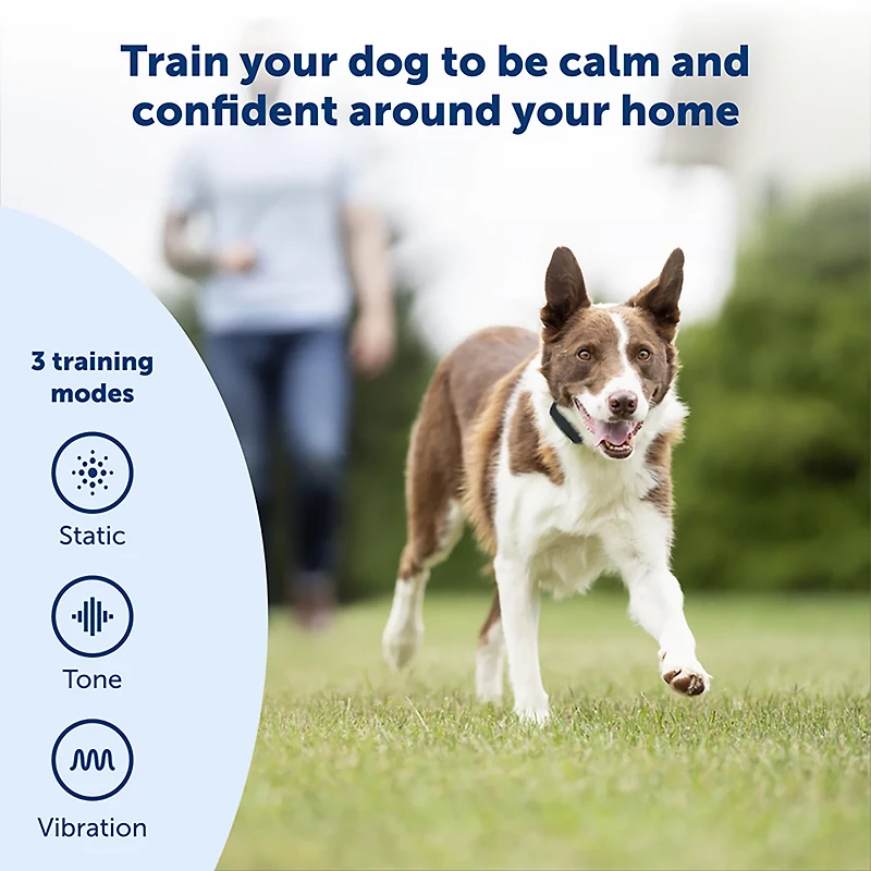 PetSafe Remote Dog Trainer Collar 100yd