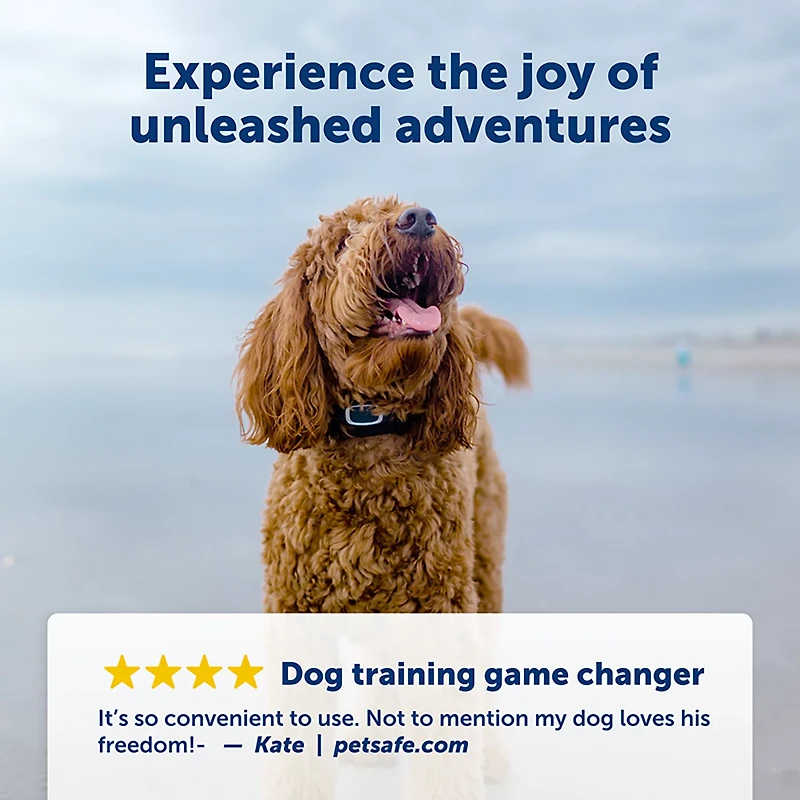 PetSafe Remote Dog Trainer Collar 300yd