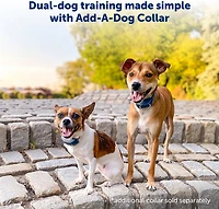 PetSafe Remote Dog Trainer Collar 300yd