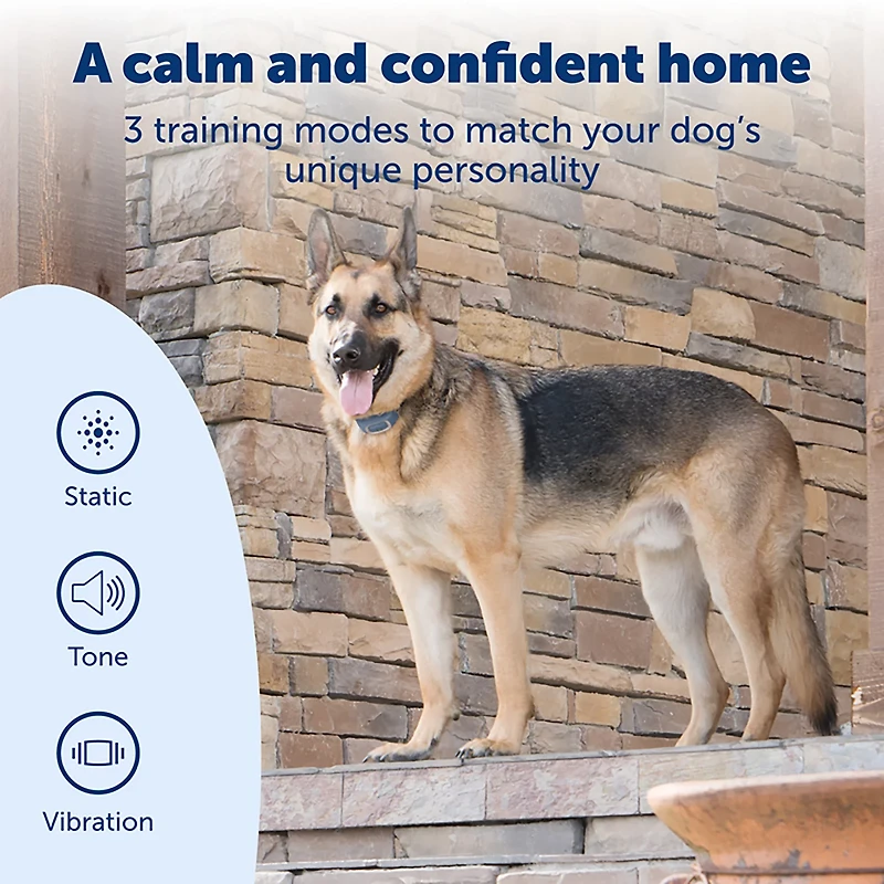 PetSafe SMART DOG Trainer Collar