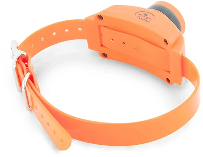 SportDOG Brand Upland Hunter Beeper Accessory
