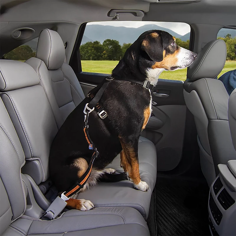 Kurgo Direct to Seatbelt Dog Swivel Car Tether