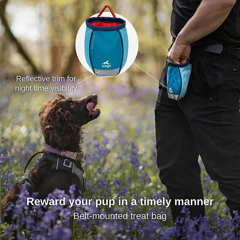 Kurgo Go Stuff It Dog Treat Bag