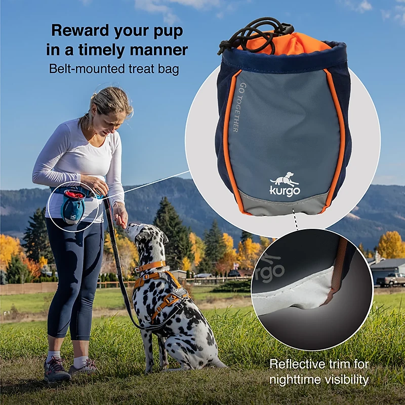 Kurgo Go Stuff It Dog Treat Bag