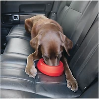 Kurgo Splash Free Wander Dog Bowl 24oz
