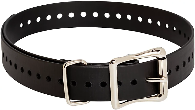 SportDOG Collar Strap Replacement TEK Series Dog 1"