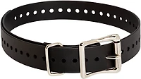 SportDOG Collar Strap Replacement TEK Series Dog 1"