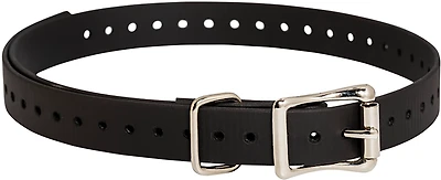 SportDOG Collar Strap Replacement TEK Series Dog 3/4"