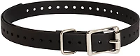 SportDOG Collar Strap Replacement TEK Series Dog 3/4"