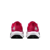 Nike Ohio State Buckeyes Nike Zoom Pegasus 41 Running Shoes