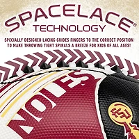 Franklin Florida State Air Tech Football