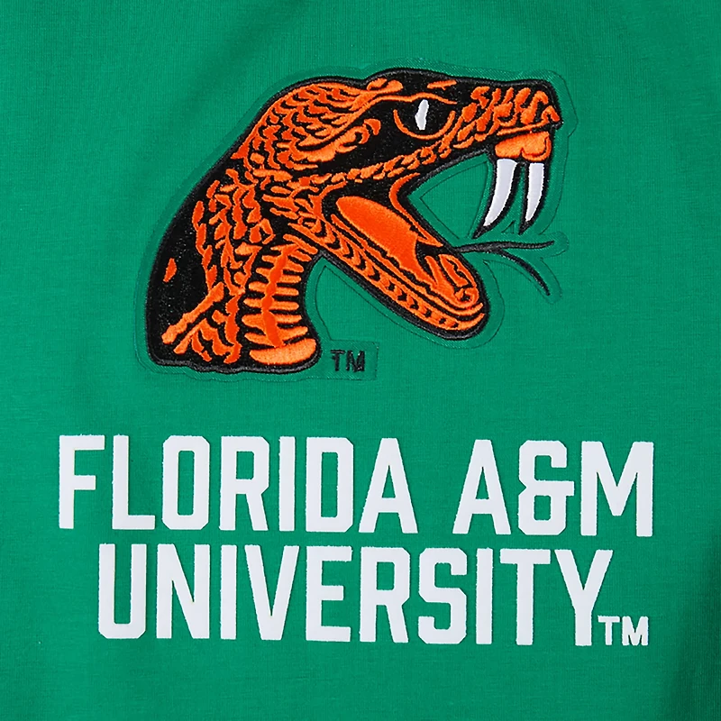 Pro Standard Men's Florida A&M University Homecoming Striped Graphic T-shirt