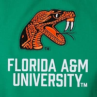Pro Standard Men's Florida A&M University Homecoming Striped Graphic T-shirt