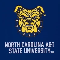 Pro Standard Men's North Carolina Agricultural and Technical State University Homecoming Striped Graphic T-shirt