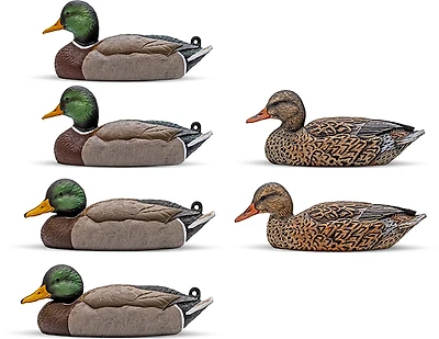 Rig'Em Right Outdoor Mainline Series Mallard Decoy 6-Pack