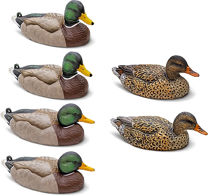 Rig'Em Right Outdoor Mainline Series Mallard Decoy 6-Pack