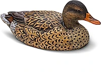 Rig'Em Right Outdoor Mainline Series Mallard Decoy 6-Pack