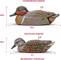 Rig'Em Right Outdoor Mainline Series Mallard Decoy 6-Pack