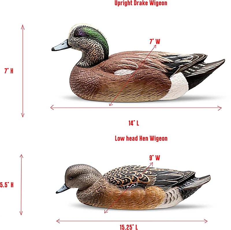 Rig'Em Right Outdoor Mainline Series Mallard Decoy 6-Pack