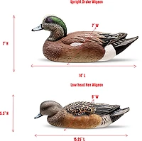 Rig'Em Right Outdoor Mainline Series Mallard Decoy 6-Pack