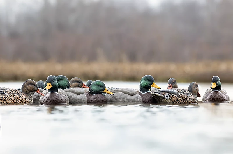 Rig'Em Right Outdoor Mainline Series Mallard Decoy 6-Pack