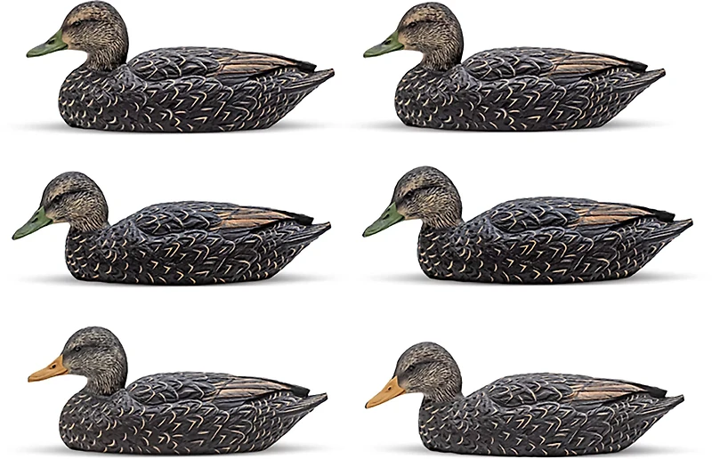 Rig'Em Right Outdoors Mainline Series Black Duck Decoy 6-Pack