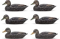 Rig'Em Right Outdoors Mainline Series Black Duck Decoy 6-Pack