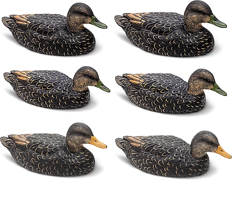 Rig'Em Right Outdoors Mainline Series Black Duck Decoy 6-Pack