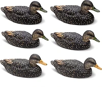 Rig'Em Right Outdoors Mainline Series Black Duck Decoy 6-Pack