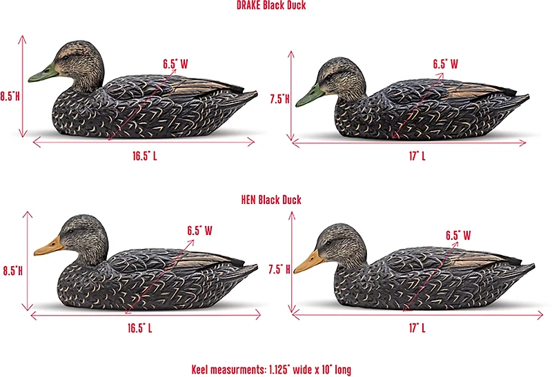 Rig'Em Right Outdoors Mainline Series Black Duck Decoy 6-Pack