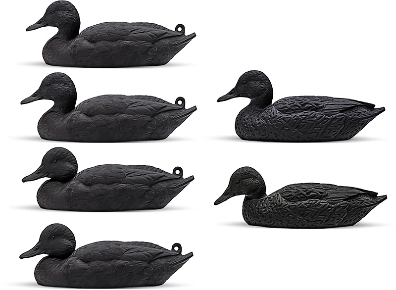 Rig'Em Right Outdoors Mainline Series Blackout Decoy 6-Pack