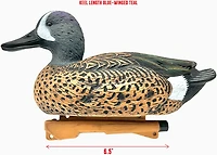 Rig'Em Right Outdoors Mainline Series Blue-Wing Teal Decoy 12-Pack
