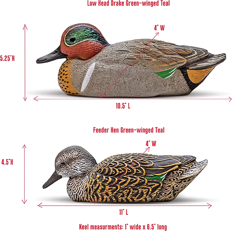 Rig'Em Right Outdoors Mainline Series Green-Wing Teal Decoy 12-Pack
