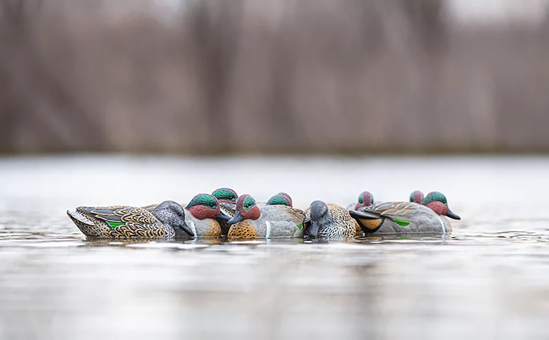 Rig'Em Right Outdoors Mainline Series Green-Wing Teal Decoy 12-Pack