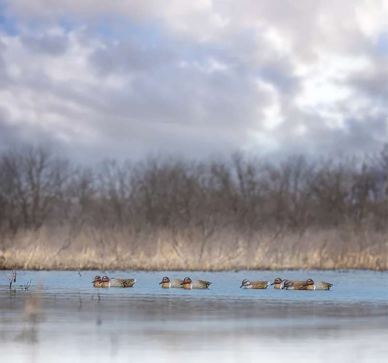 Rig'Em Right Outdoors Mainline Series Green-Wing Teal Decoy 12-Pack