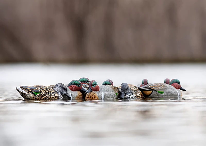 Rig'Em Right Outdoors Mainline Series Green-Wing Teal Decoy 12-Pack