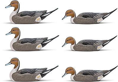 Rig'Em Right Outdoors Mainline Series Pintail Decoy 6-Pack
