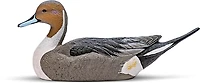 Rig'Em Right Outdoors Mainline Series Pintail Decoy 6-Pack