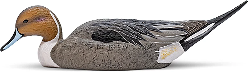 Rig'Em Right Outdoors Mainline Series Pintail Decoy 6-Pack