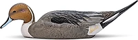 Rig'Em Right Outdoors Mainline Series Pintail Decoy 6-Pack