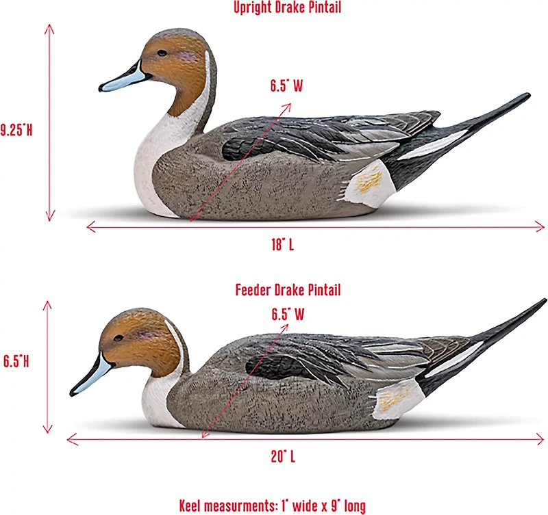 Rig'Em Right Outdoors Mainline Series Pintail Decoy 6-Pack