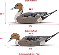 Rig'Em Right Outdoors Mainline Series Pintail Decoy 6-Pack