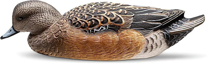 Rig'Em Right Outdoors Mainline Series Wigeon Decoy 6-Pack