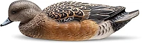 Rig'Em Right Outdoors Mainline Series Wigeon Decoy 6-Pack