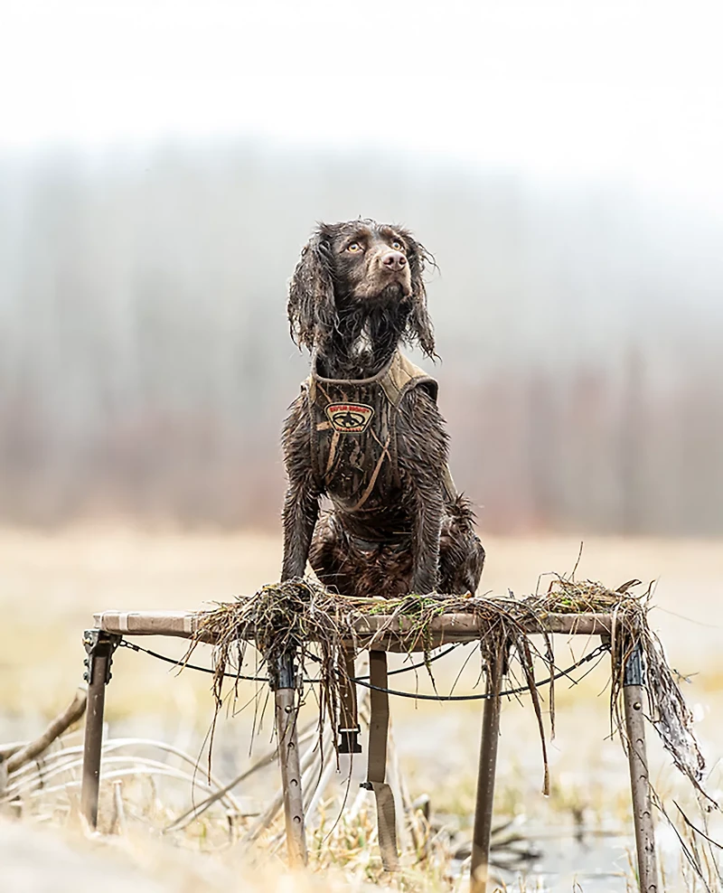 Rig'Em Right Outdoors Dog Stand