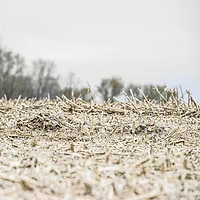 Rig'Em Right Outdoors Xtreme Ghillie Layout Blind