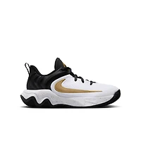 Nike Grade School Kids' Giannis Immortality 4 Basketball Shoes