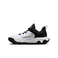 Nike Grade School Kids' Giannis Immortality 4 Basketball Shoes