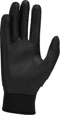 Nike Alpha 2.0 Batting Glove